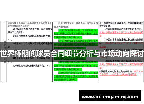 世界杯期间球员合同细节分析与市场动向探讨