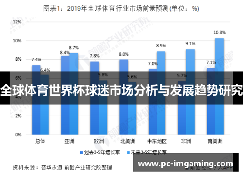 全球体育世界杯球迷市场分析与发展趋势研究