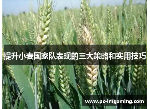 提升小麦国家队表现的三大策略和实用技巧