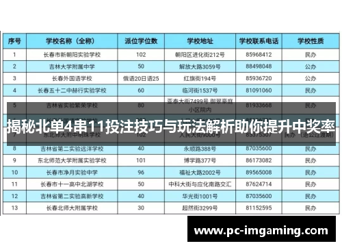 揭秘北单4串11投注技巧与玩法解析助你提升中奖率